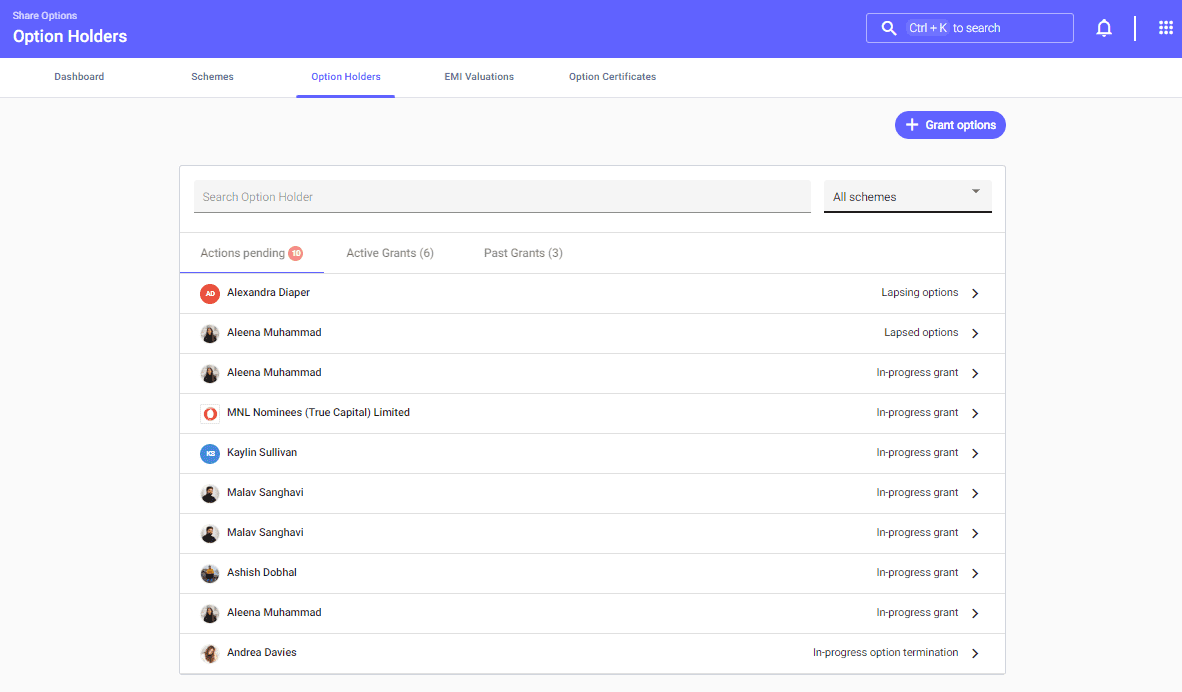 Option Holders Seedlegals Platform Screenshot
