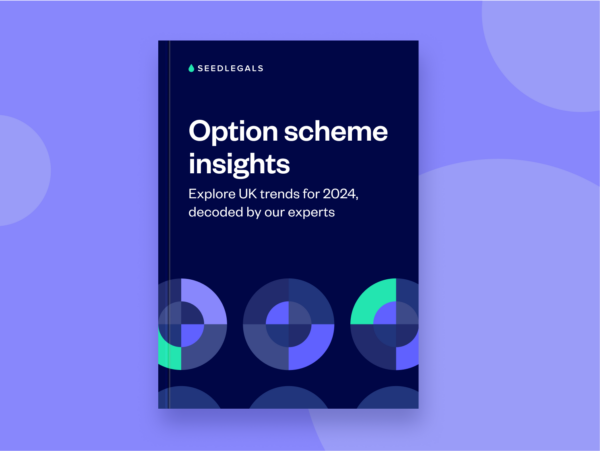 Option Scheme Insights Preview Image (2)