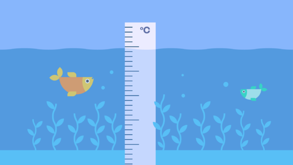 Hero Founder Interviews Seafields