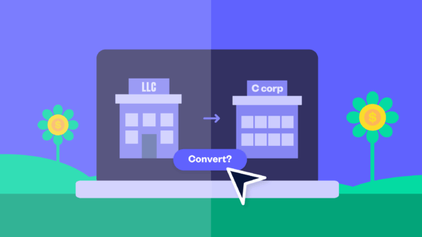 Hero Us Convert Llc C Corp Fundraising